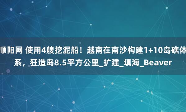 顺阳网 使用4艘挖泥船！越南在南沙构建1+10岛礁体系，狂造岛8.5平方公里_扩建_填海_Beaver