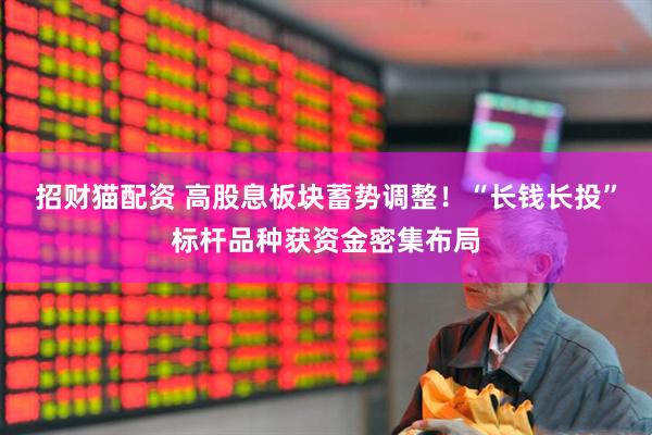 招财猫配资 高股息板块蓄势调整！“长钱长投”标杆品种获资金密集布局