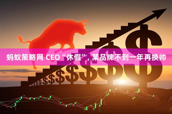 蚂蚁策略网 CEO“休假”, 某品牌不到一年再换帅